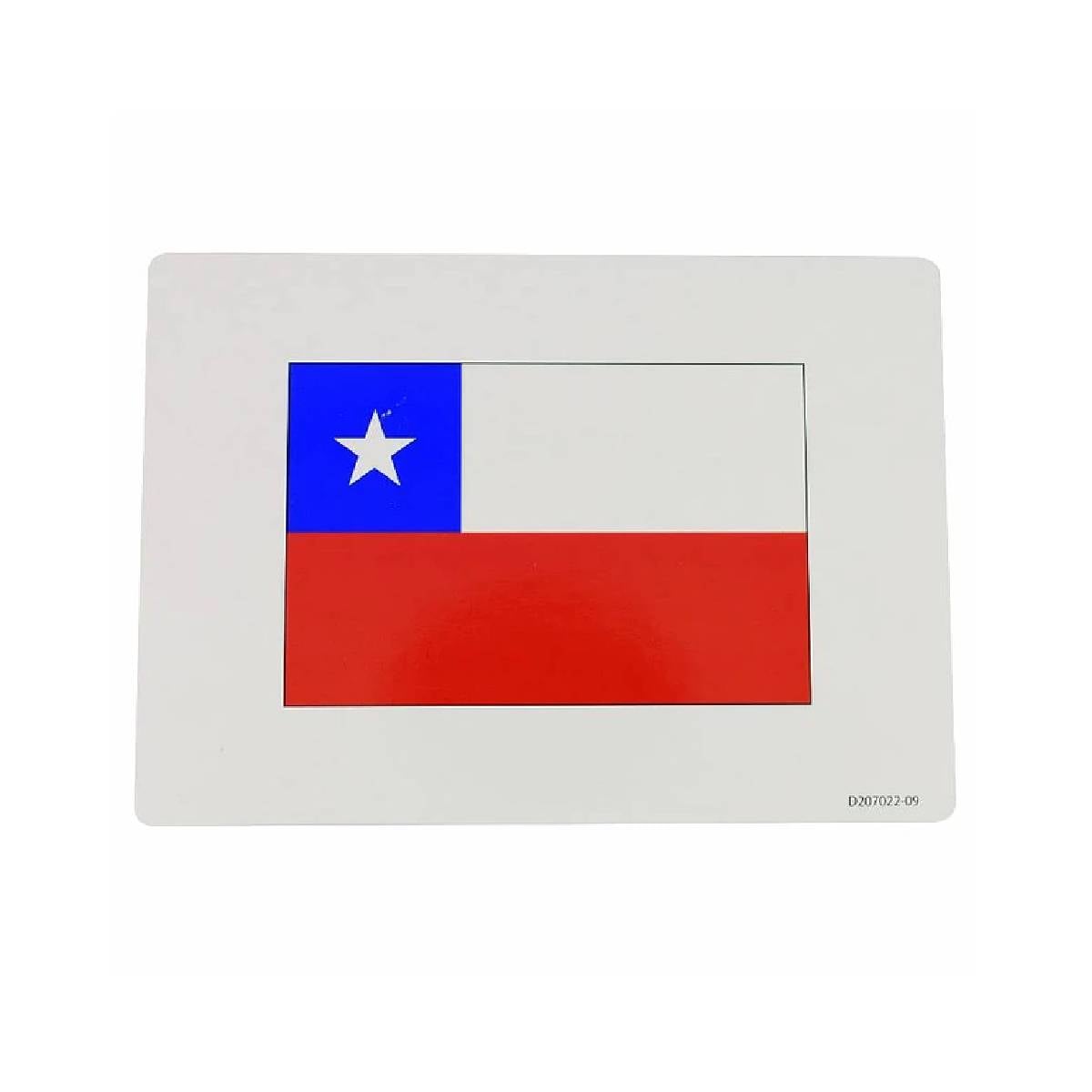 JUEGO DIDACTICO DACTIC LAMINAS BANDERAS DEL MUNDO 60 PIEZAS - 3