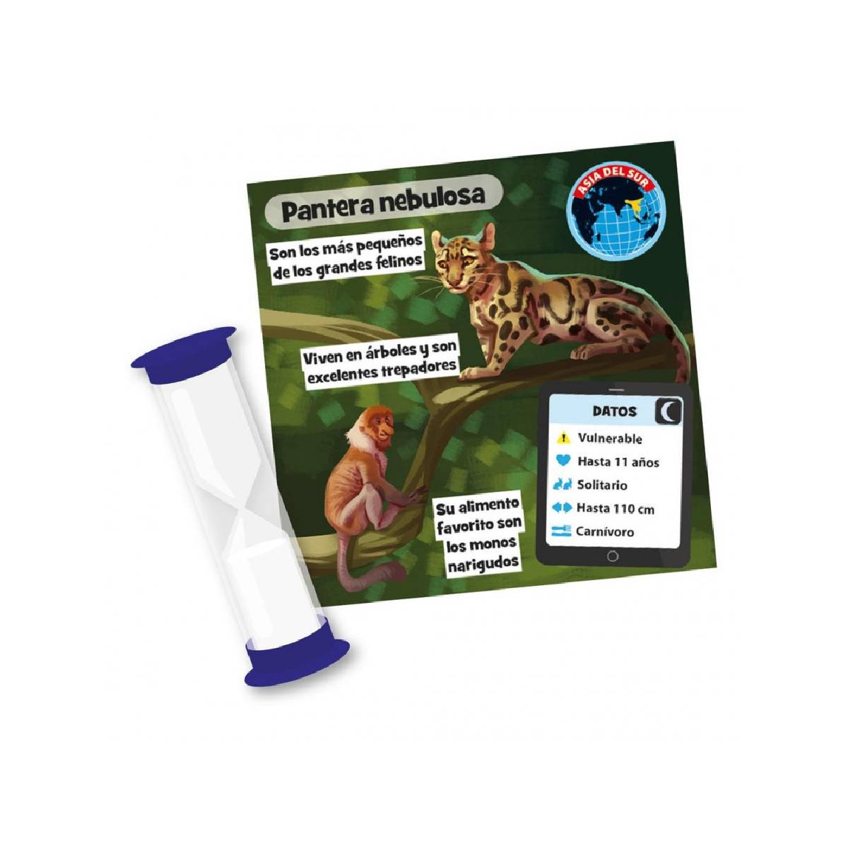 JUEGO DE CARTAS BRAINBOX ANIMALES OBSERVACION Y MEMORIA - 3