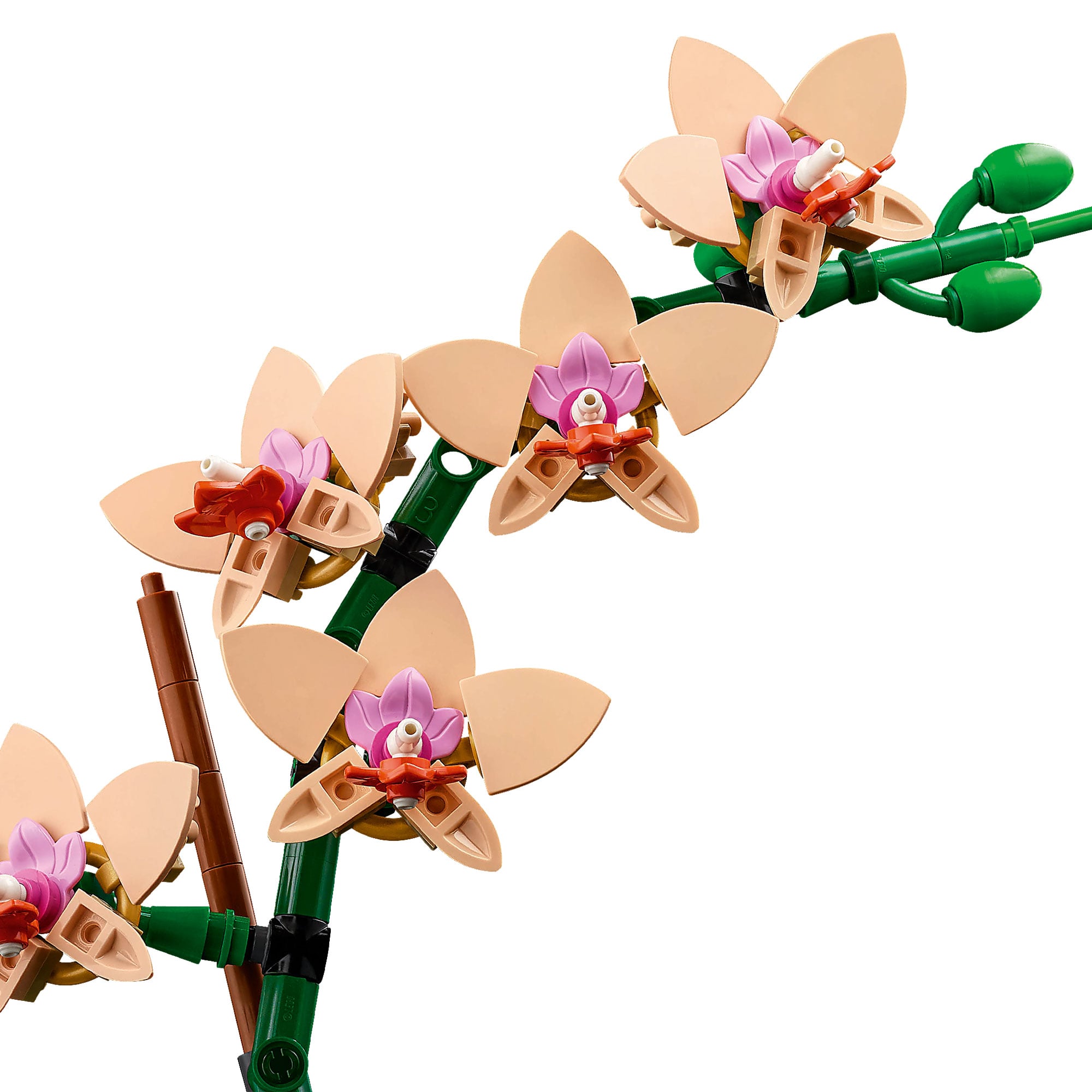 MINIORQUIDEA LEGO BOTANICALS - 3