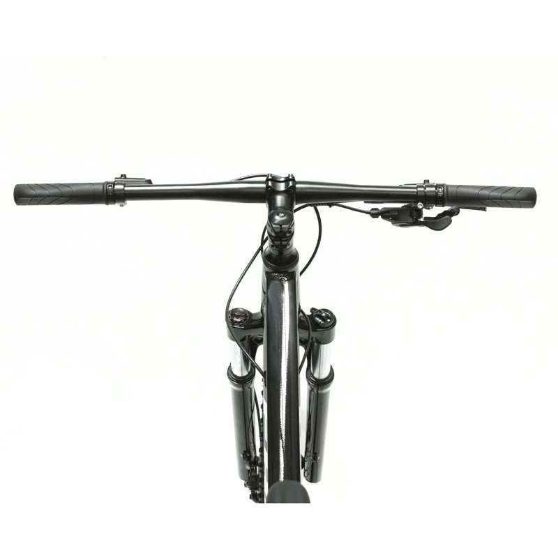 BICICLETA FAUCON RAGNAR 10 ARO 29 L MOUNTAIN BIKE - 6