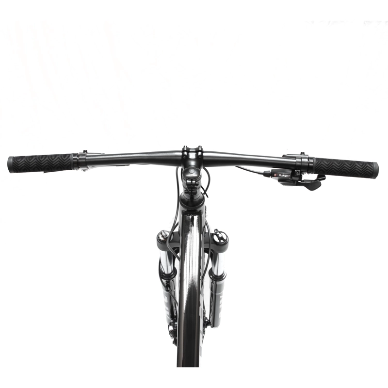 BICICLETA MOUNTAIN BIKE RAGNAR 9 ARO 29 L - 7
