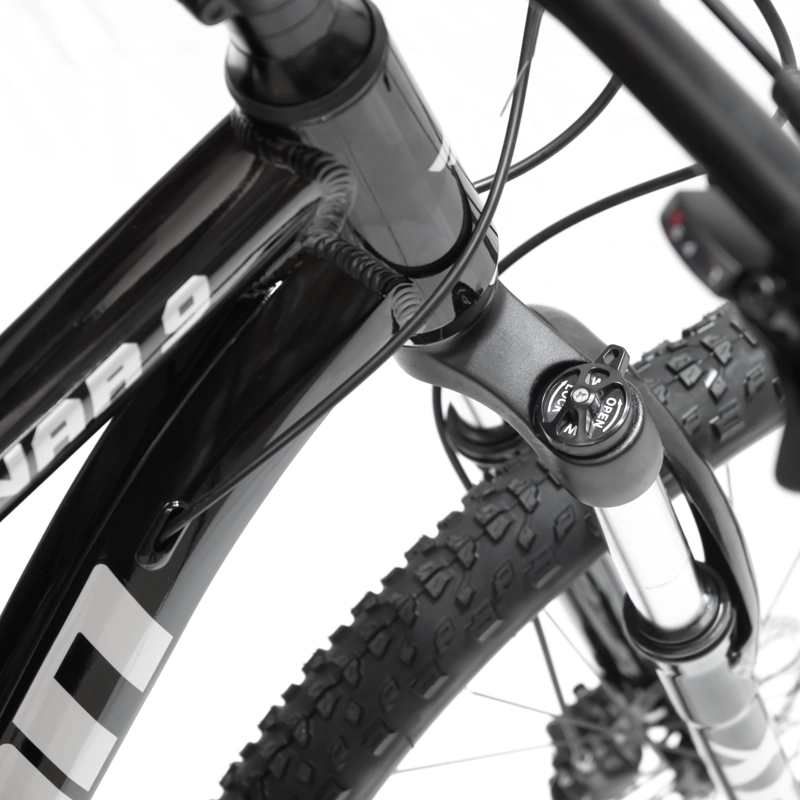 BICICLETA MOUNTAIN BIKE RAGNAR 9 ARO 29 L - 8