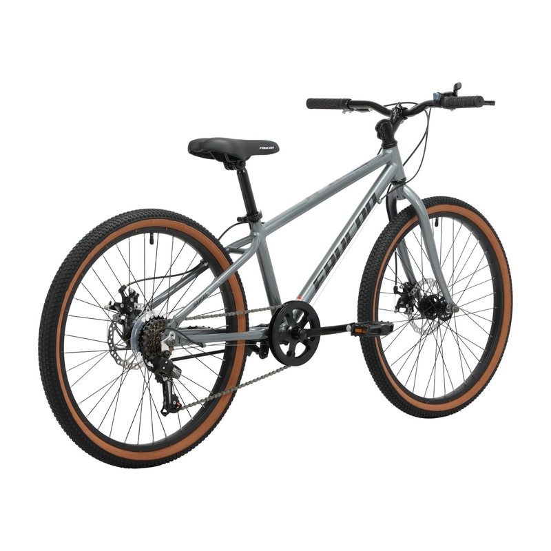 BICICLETA INFANTIL BAIKAL ARO 24 - 3