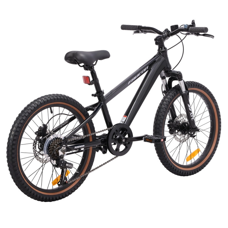 BICICLETA MOUNTAIN BIKE RAGNAR PRO HIDRAULICO ARO 20 - 3