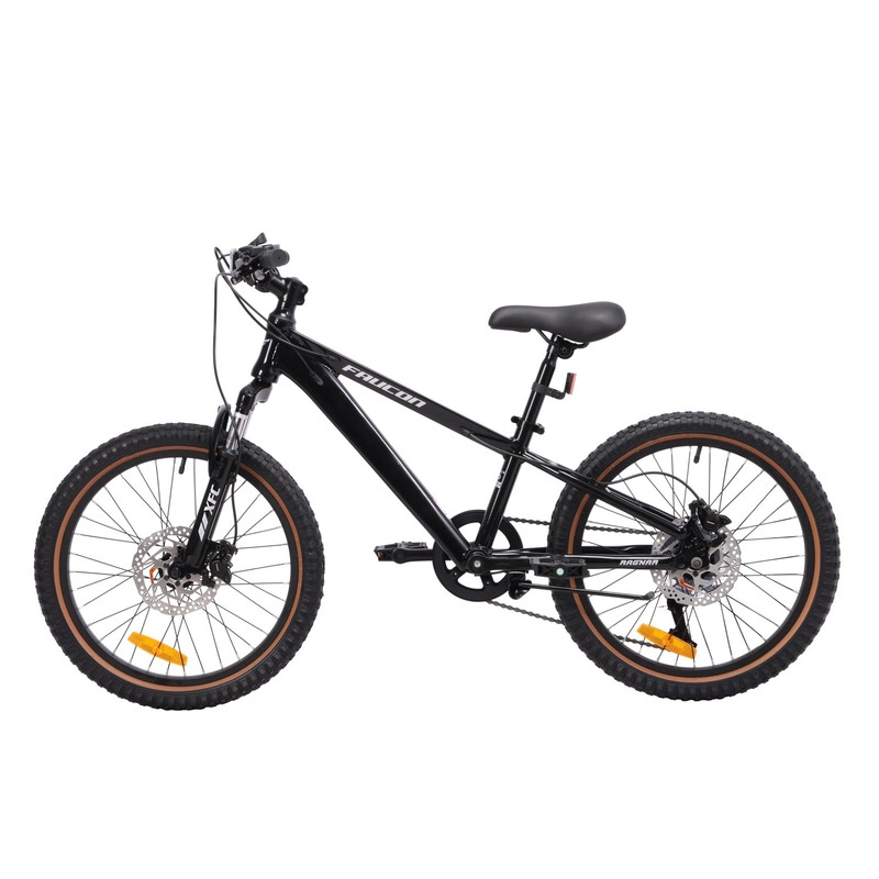 BICICLETA MOUNTAIN BIKE RAGNAR PRO HIDRAULICO ARO 20 - 4