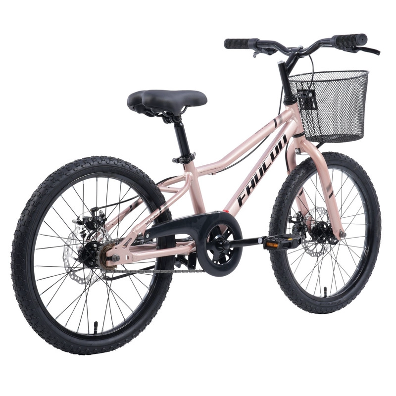BICICLETA INFANTIL NILO ARO 20 - 2