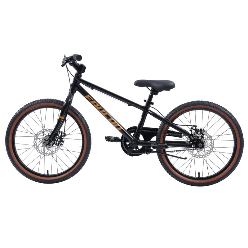 BICICLETA INFANTIL NIÑO BAIKAL ARO 20 - 4