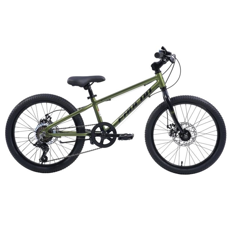 BICICLETA INFANTIL BAIKAL PRO ARO 20 VERDE - 1