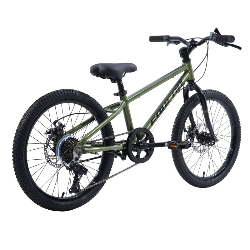 BICICLETA INFANTIL BAIKAL PRO ARO 20 VERDE - 2