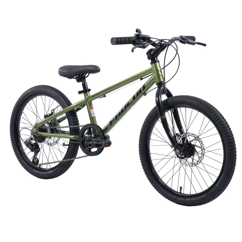 BICICLETA INFANTIL BAIKAL PRO ARO 20 VERDE - 3