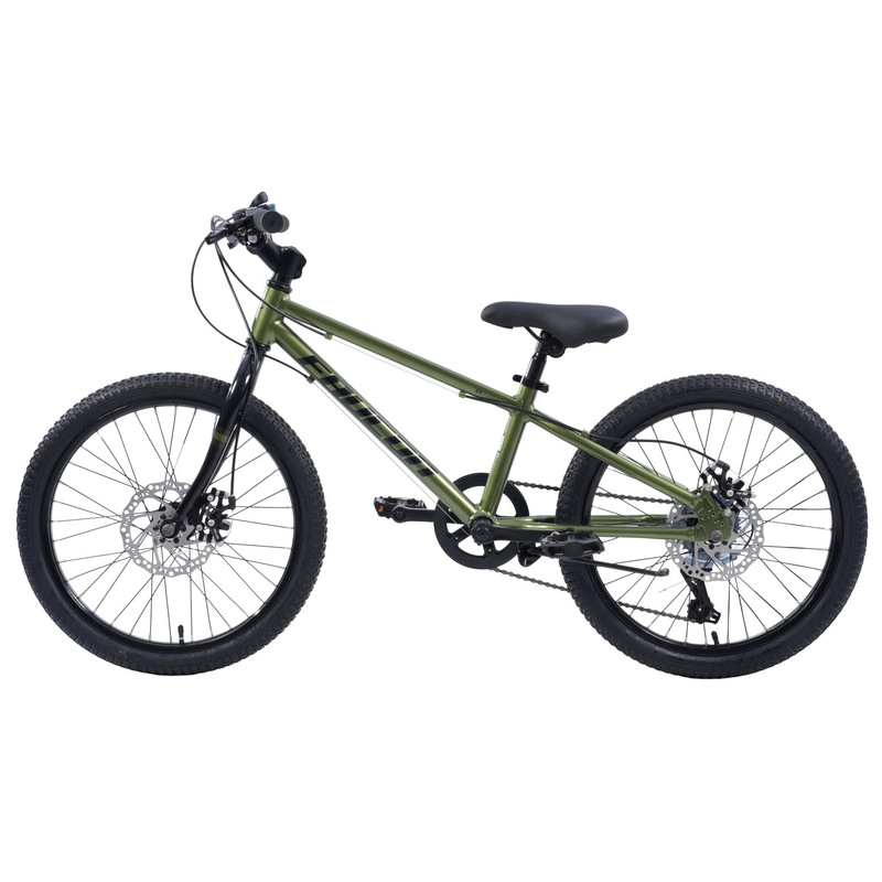 BICICLETA INFANTIL BAIKAL PRO ARO 20 VERDE - 4