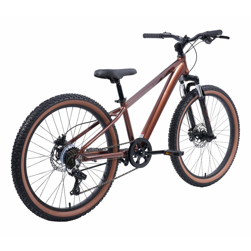 BICICLETA INFANTIL RAGNAR PRO ARO 24 MARRON - 2