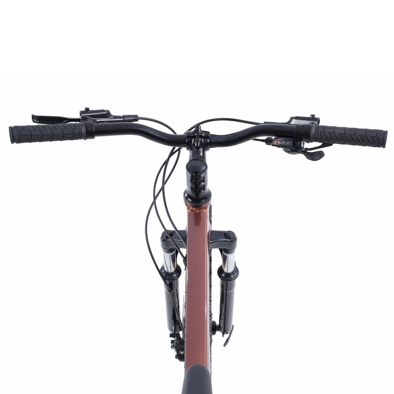 BICICLETA INFANTIL RAGNAR PRO ARO 24 MARRON - 5