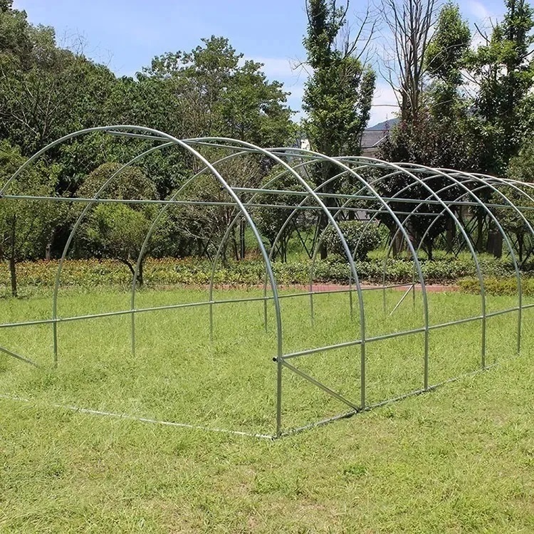 INVERNADERO IGPRO ARMABLE TUNEL 24M² 8 X 3 X 2 MTS VERDE - 3