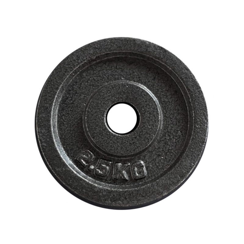 DISCO PARA PESAS CITYSHOP 2.5 KG - 1