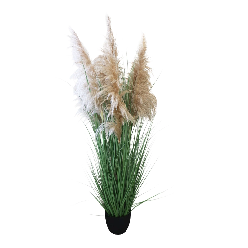 GRASS DRIED COLA DE ZORRO CON MACETERO 170 CM DE ALTURA - 2