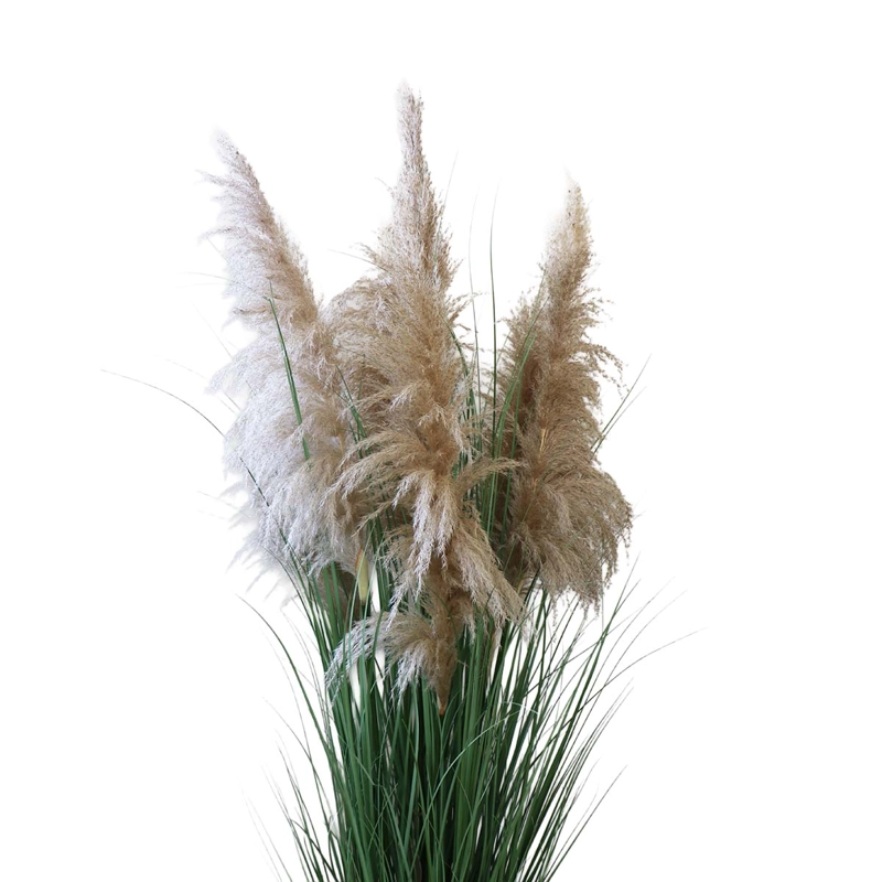 GRASS DRIED COLA DE ZORRO CON MACETERO 170 CM DE ALTURA - 3