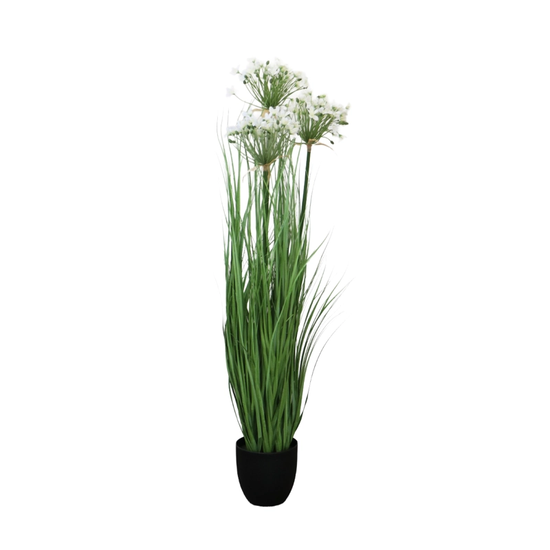 GRASS LEEK FLOR DE PUERRO CON MACETERO 109 CM DE ALTURA - 2