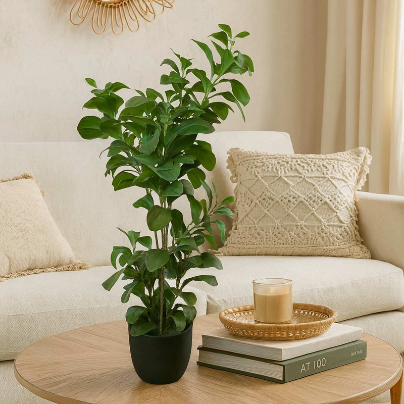 ARBOL WATERCRESS HOJA DE BERRO CON MACETERO 91 CM DE ALTURA - 1