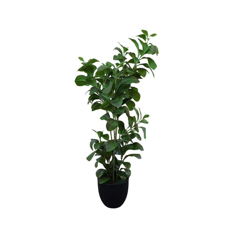 ARBOL WATERCRESS HOJA DE BERRO CON MACETERO 91 CM DE ALTURA - 2
