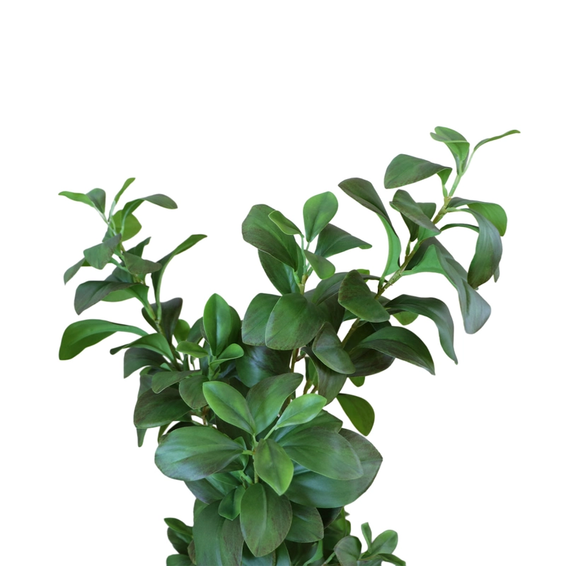 ARBOL WATERCRESS HOJA DE BERRO CON MACETERO 91 CM DE ALTURA - 3