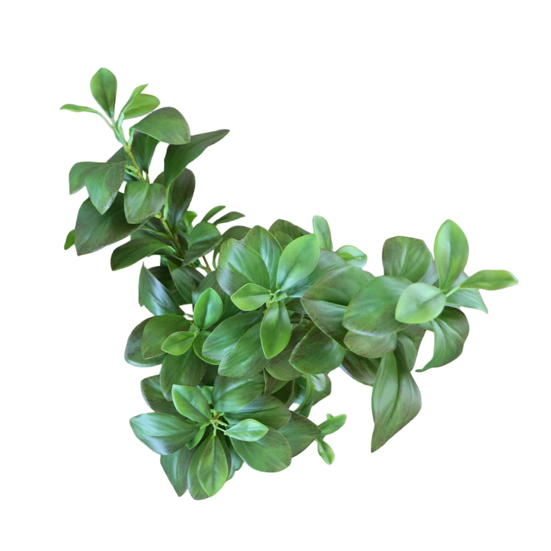 ARBOL WATERCRESS HOJA DE BERRO CON MACETERO 91 CM DE ALTURA - 4