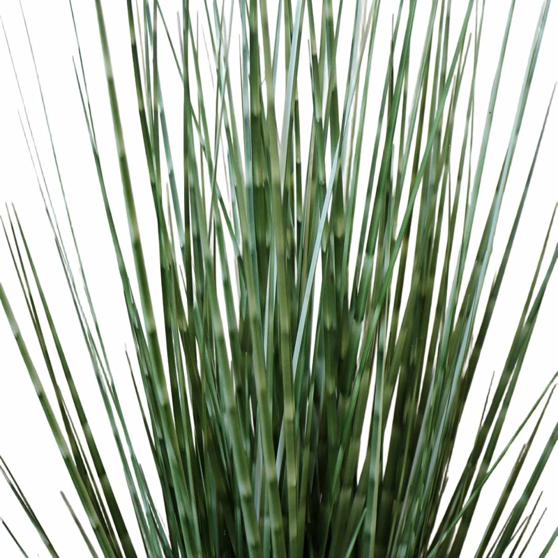 GRASS ZEBRA CON MACETERO 91 CM DE ALTURA - 4