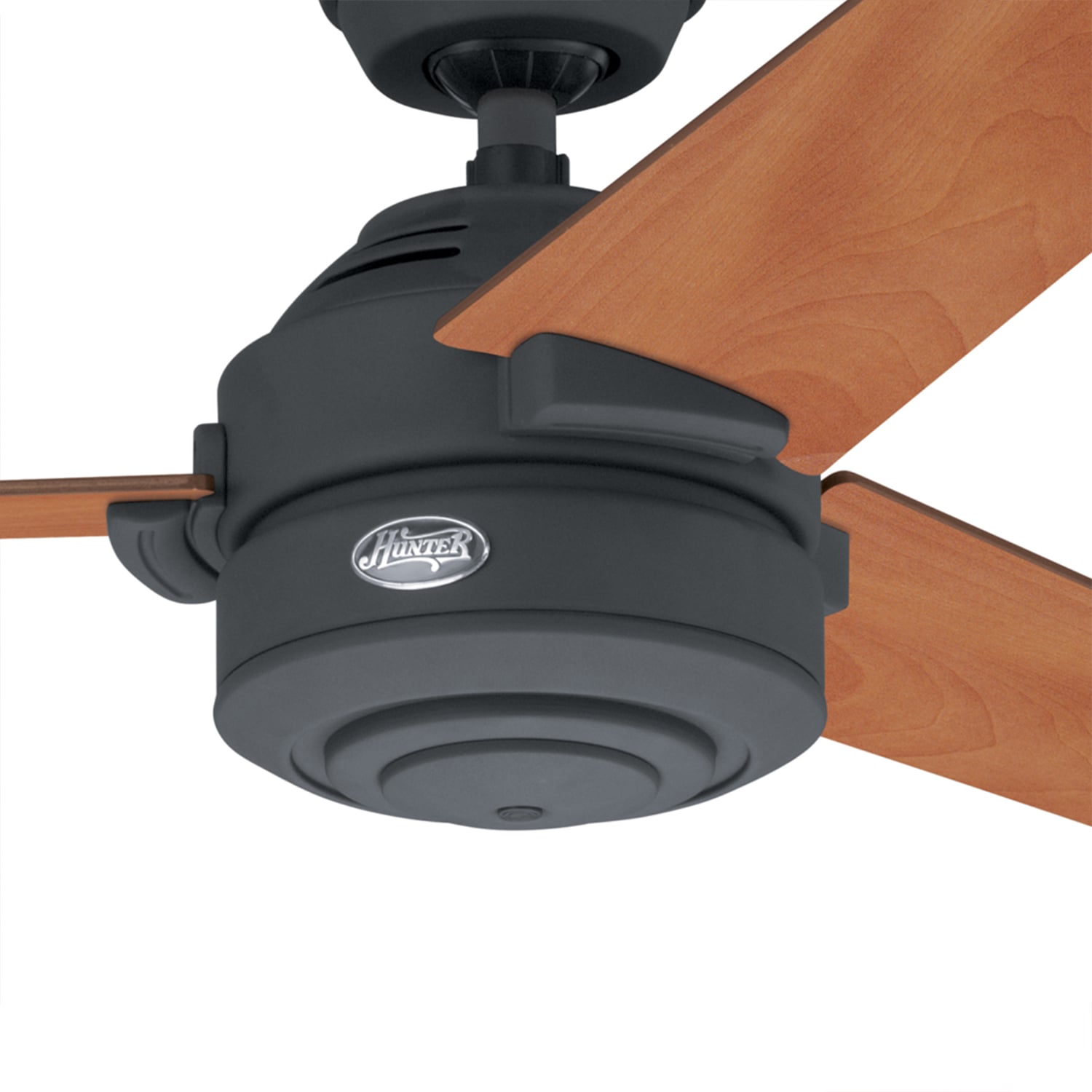 PACK HUNTER 68 WATTS X2 VENTILADOR TECHO CARRERA CAFE - 4