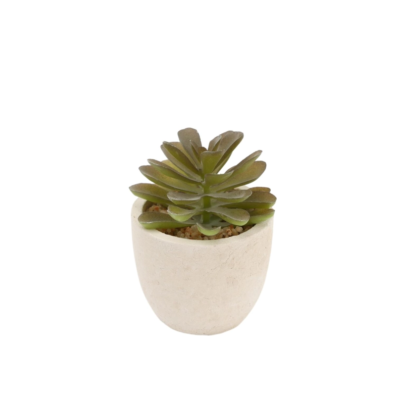 CACTUS SUCULENTA ARTIFICIAL - 1