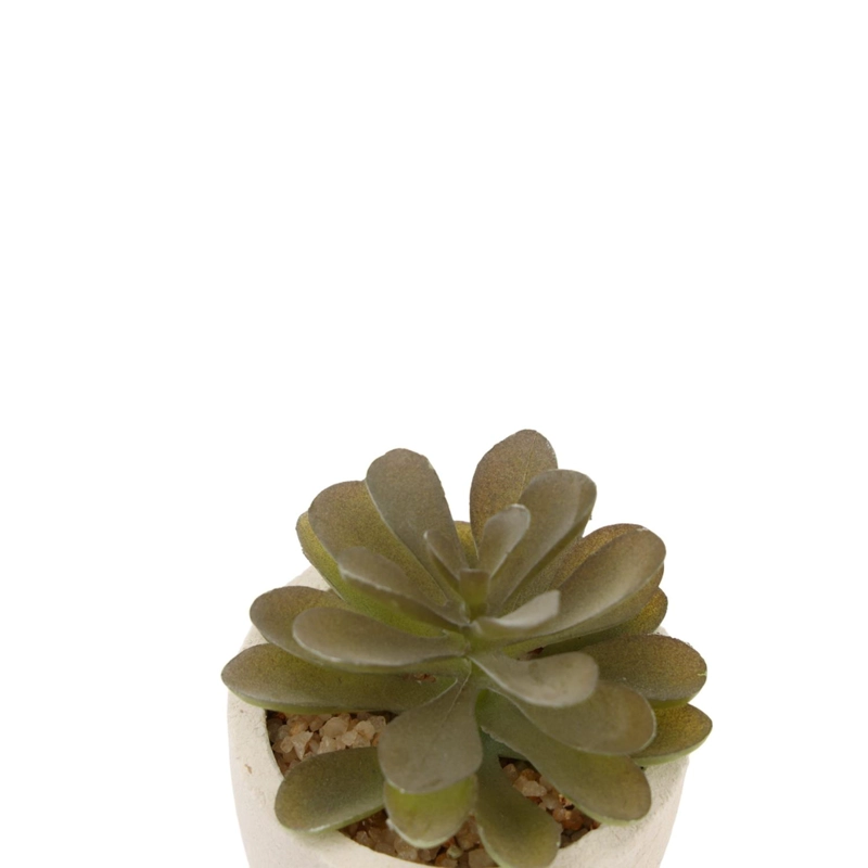 CACTUS SUCULENTA ARTIFICIAL - 2