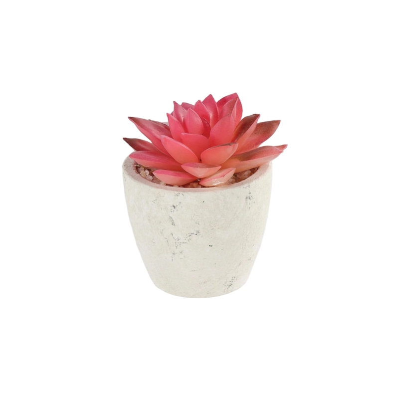 CACTUS SUCULENTA ARTIFICIAL - 1