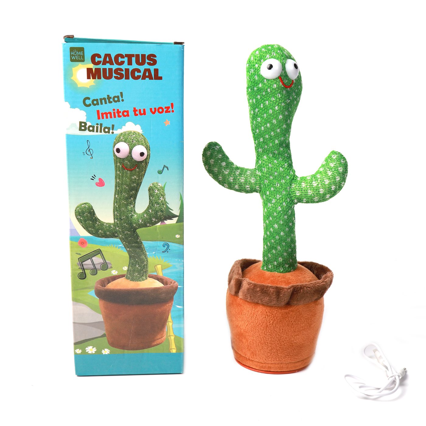 CACTUS BAILARÍN 34X9CM - 1