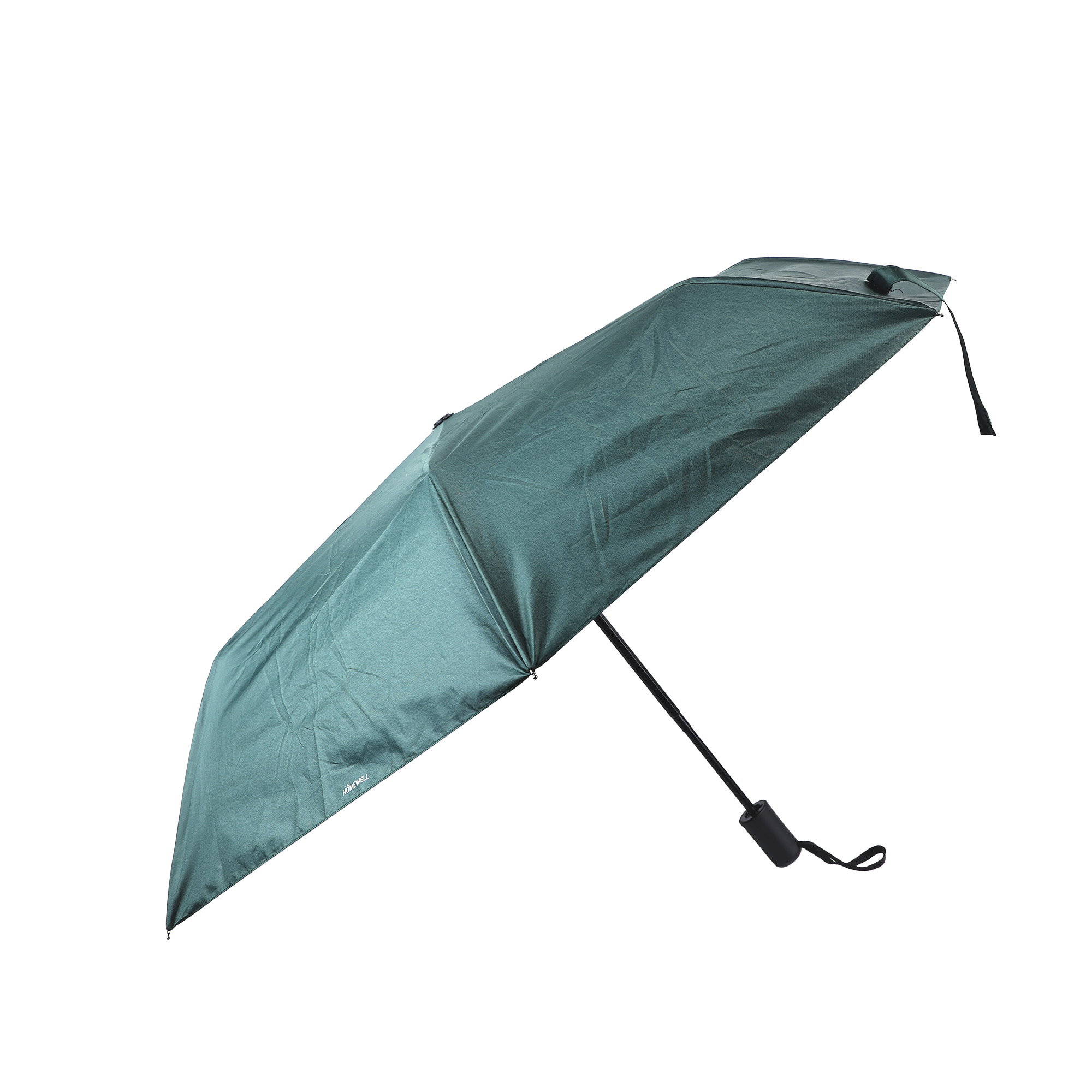 PARAGUA VERDE 55CM - 2