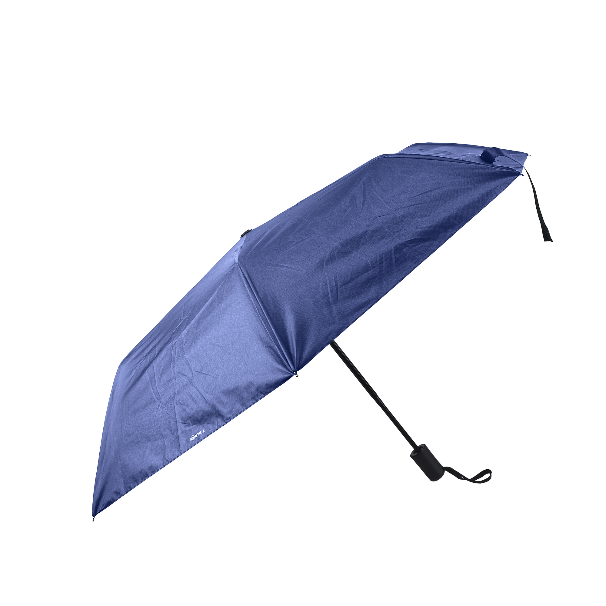 PARAGUA AZUL 55CM - 2