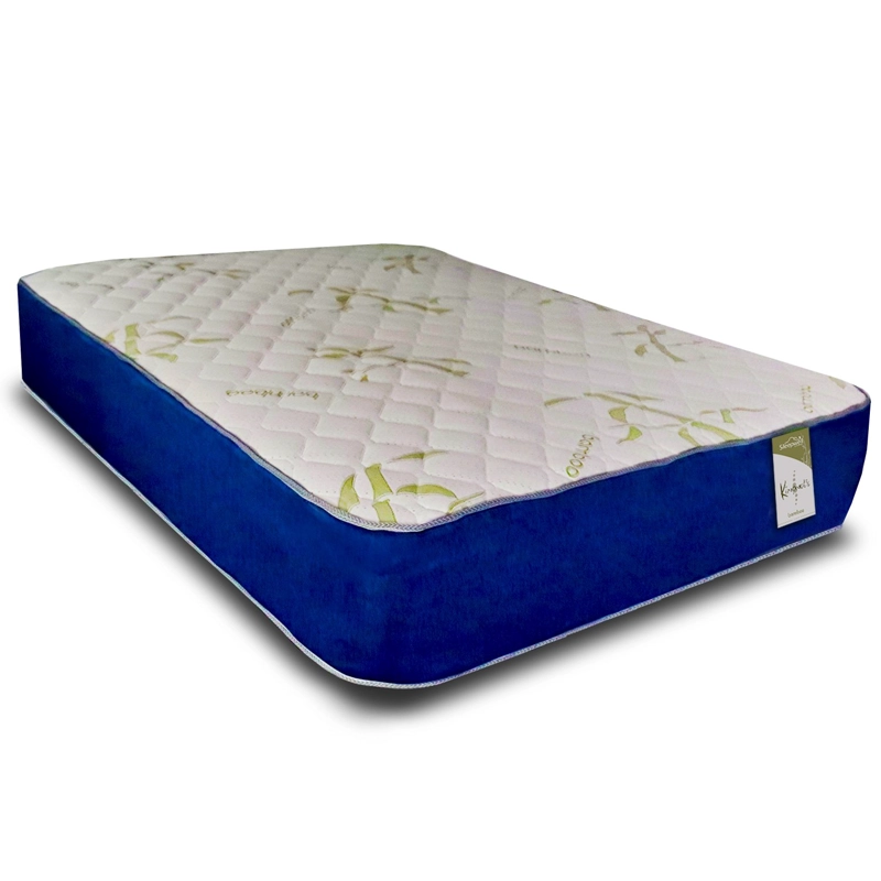 COLCHON RESORTE SLEEPWELL KIROPRACTIC 2 PLAZAS - 1