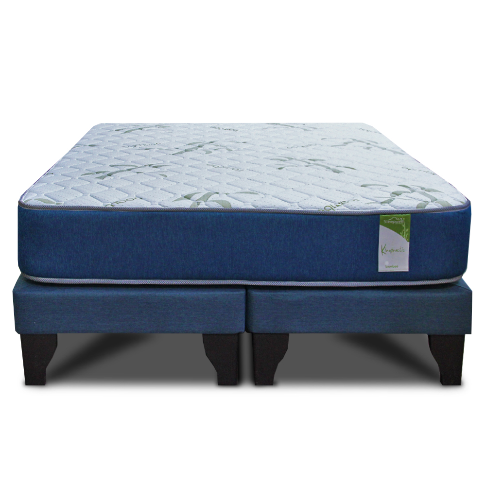 CAMA EUROPEA KIROPRACTIC 2 PLAZAS BOX - 1