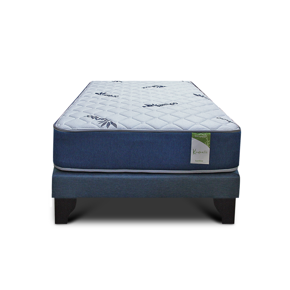 CAMA EUROPEA KIROPRACTIC 1 PLAZA BOX - 1