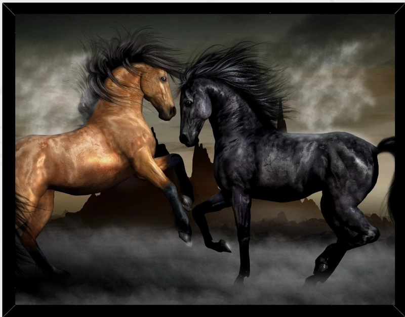 CUADRO DECORATIVO FIGURA DOS CABALLOS MEDIDAS 30X40 CM - 1