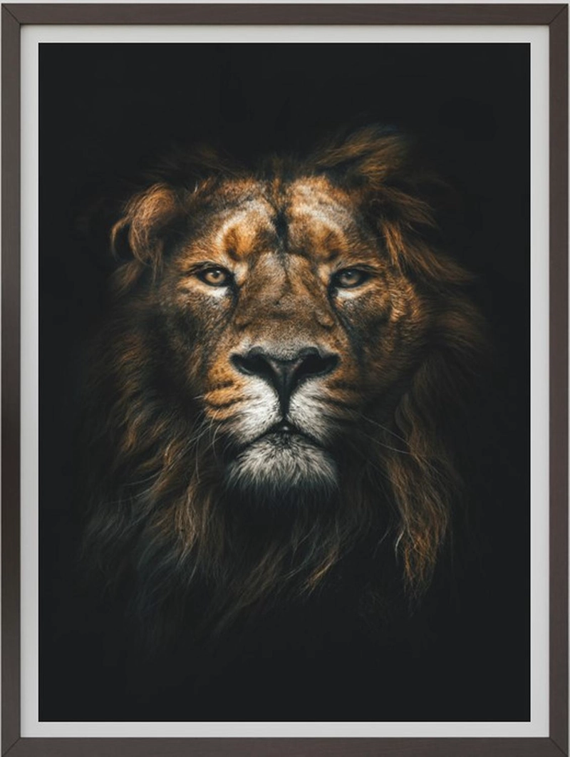 CUADRO DECORATIVO LEON CON MARCO Y VIDRIO MEDIDAS 30X40 CM - 2