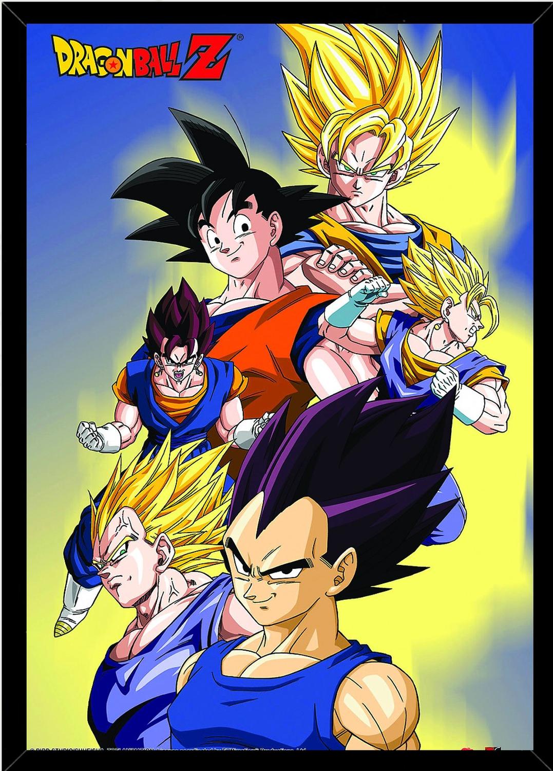 CUADRO DECORATIVO GOKU Y VEGETA MEDIDAS 30X40 CM - 1