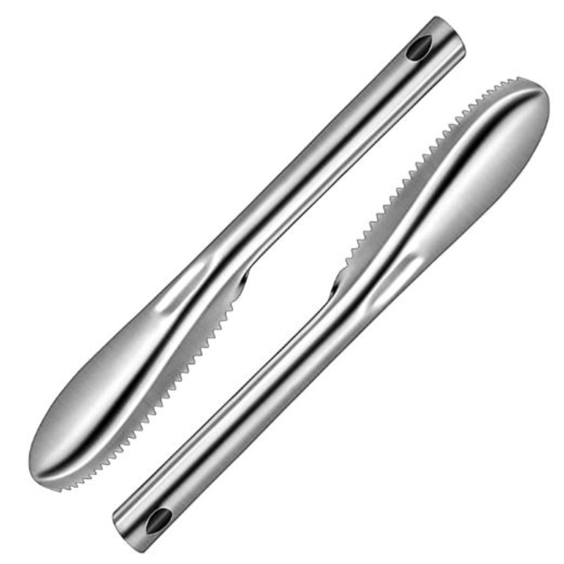 CEPILLO PARA ESCAMAS 22 CM - 1
