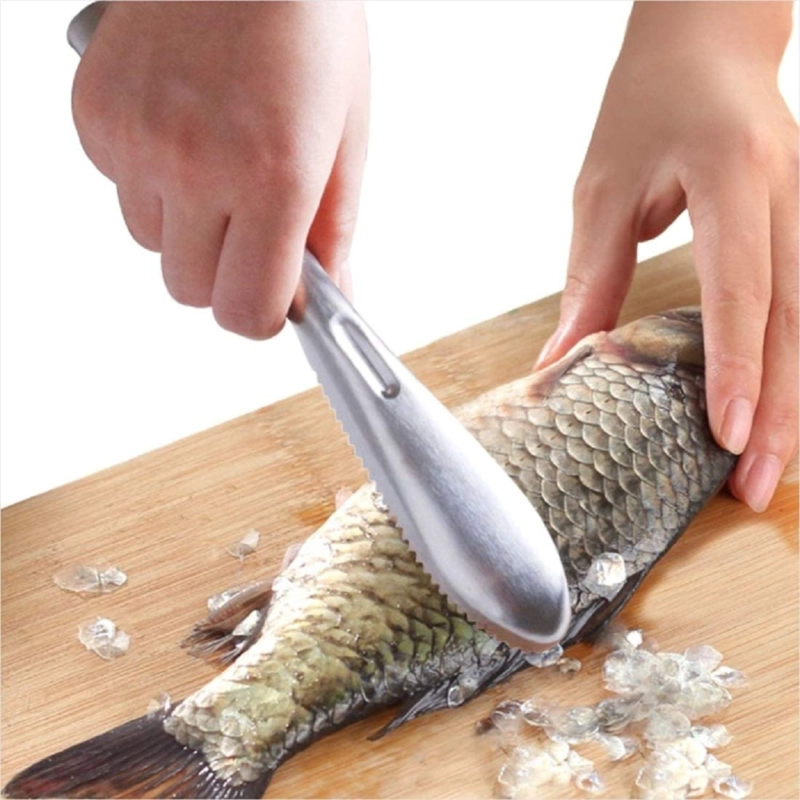 CEPILLO PARA ESCAMAS 22 CM - 2