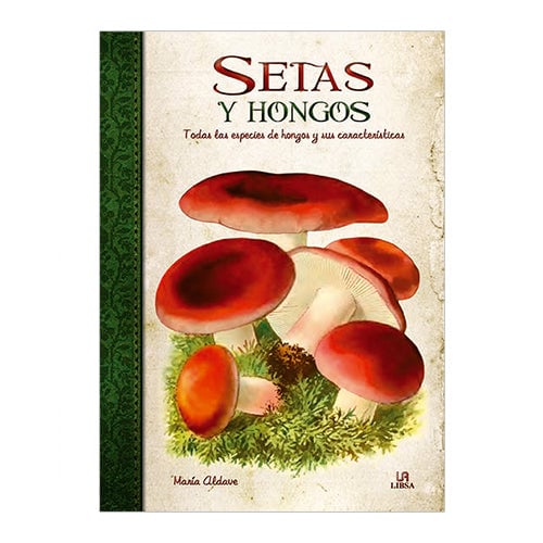 LIBRO SETAS Y HONGOS SINGULARES - 1