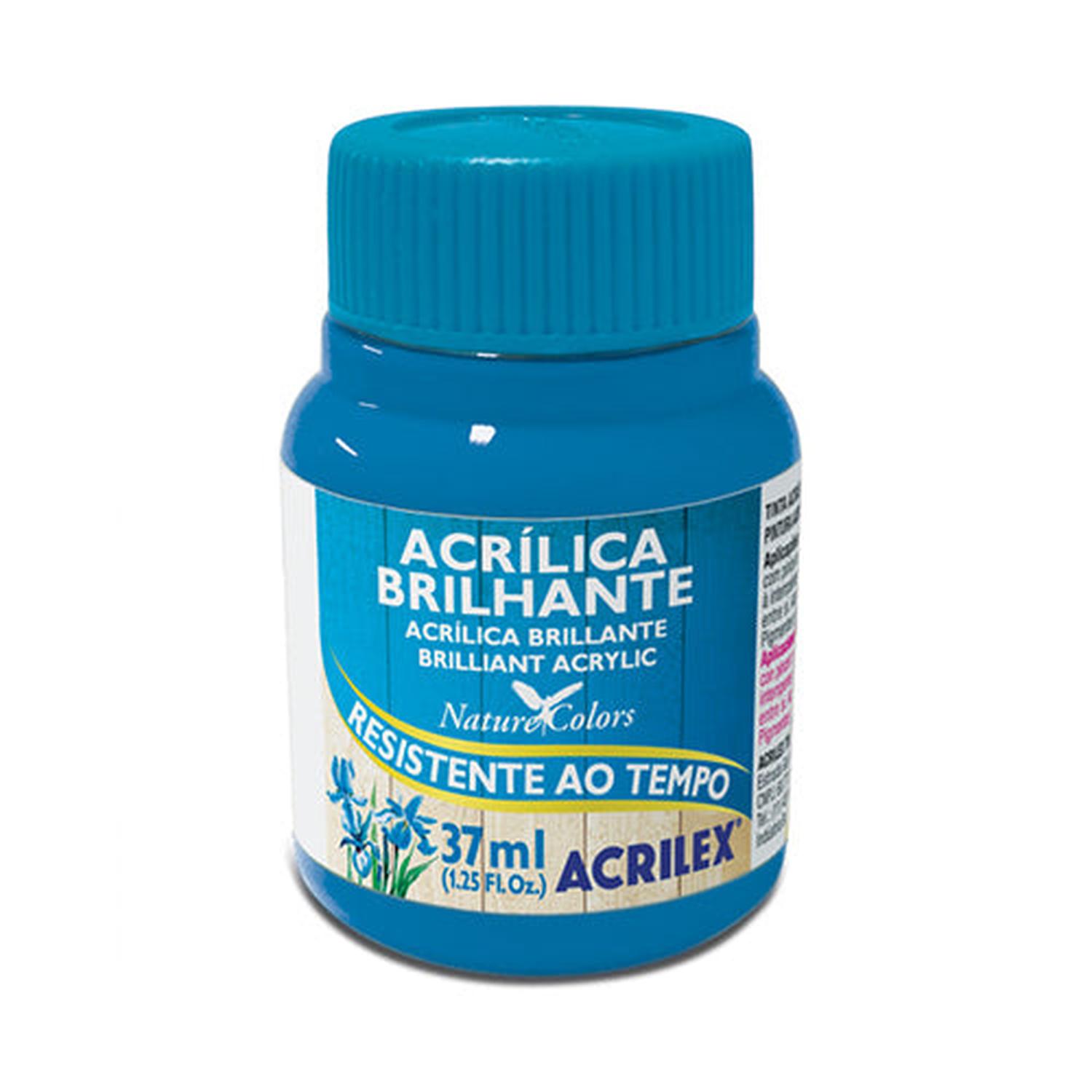 PINTURA ACRILICA BRILLANTE 37 ML - 2