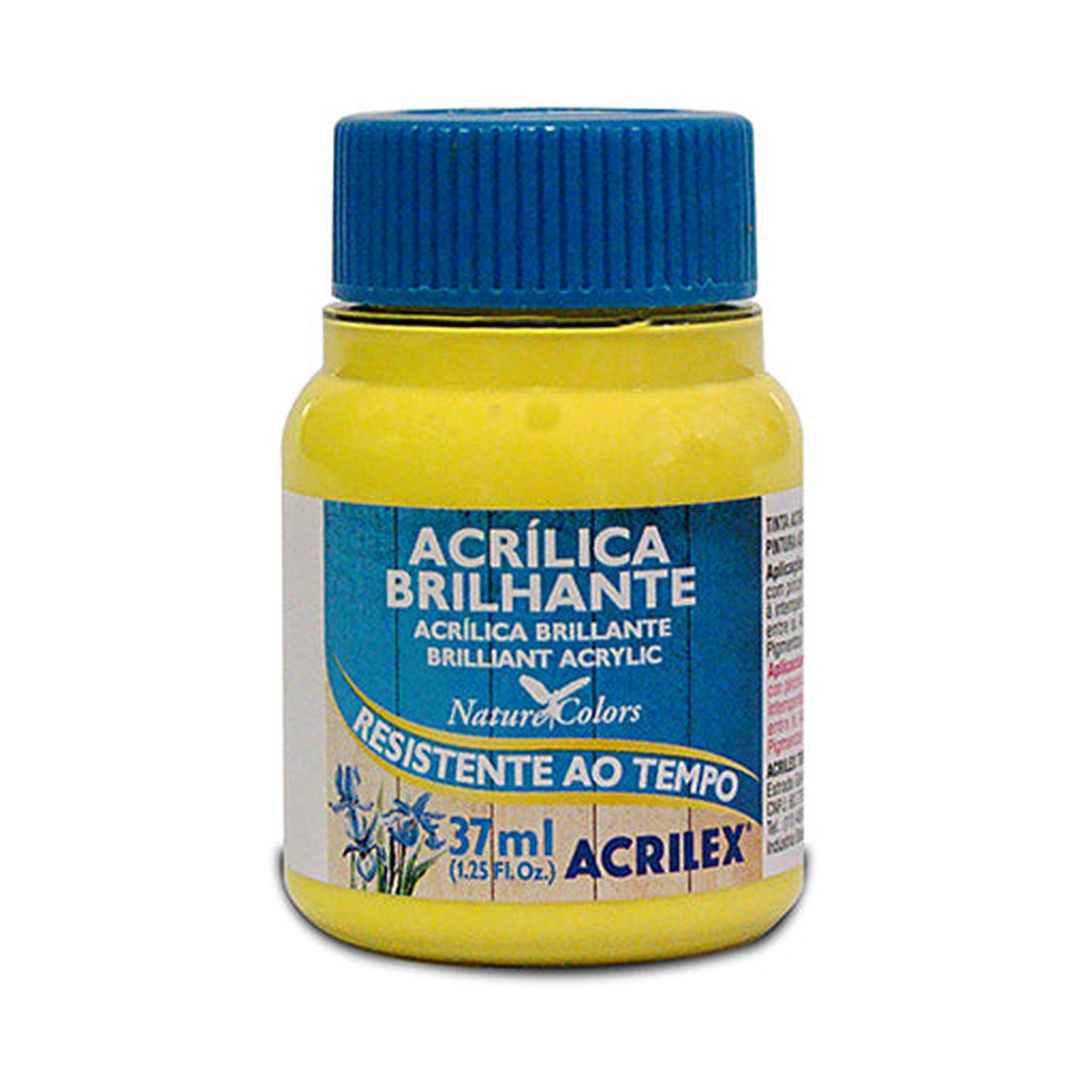 PINTURA ACRILICA BRILLANTE 37 ML - 3
