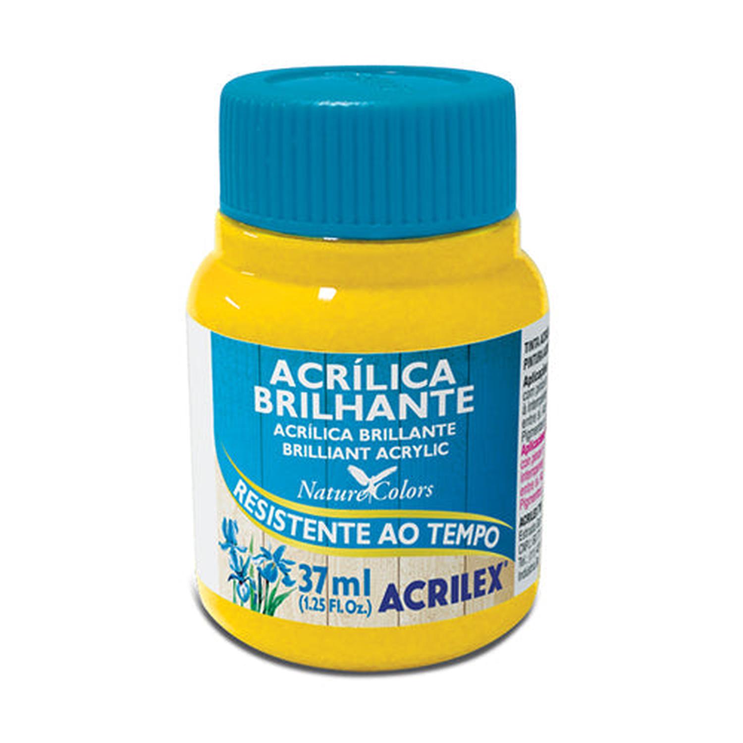 PINTURA ACRILICA BRILLANTE 37 ML - 4