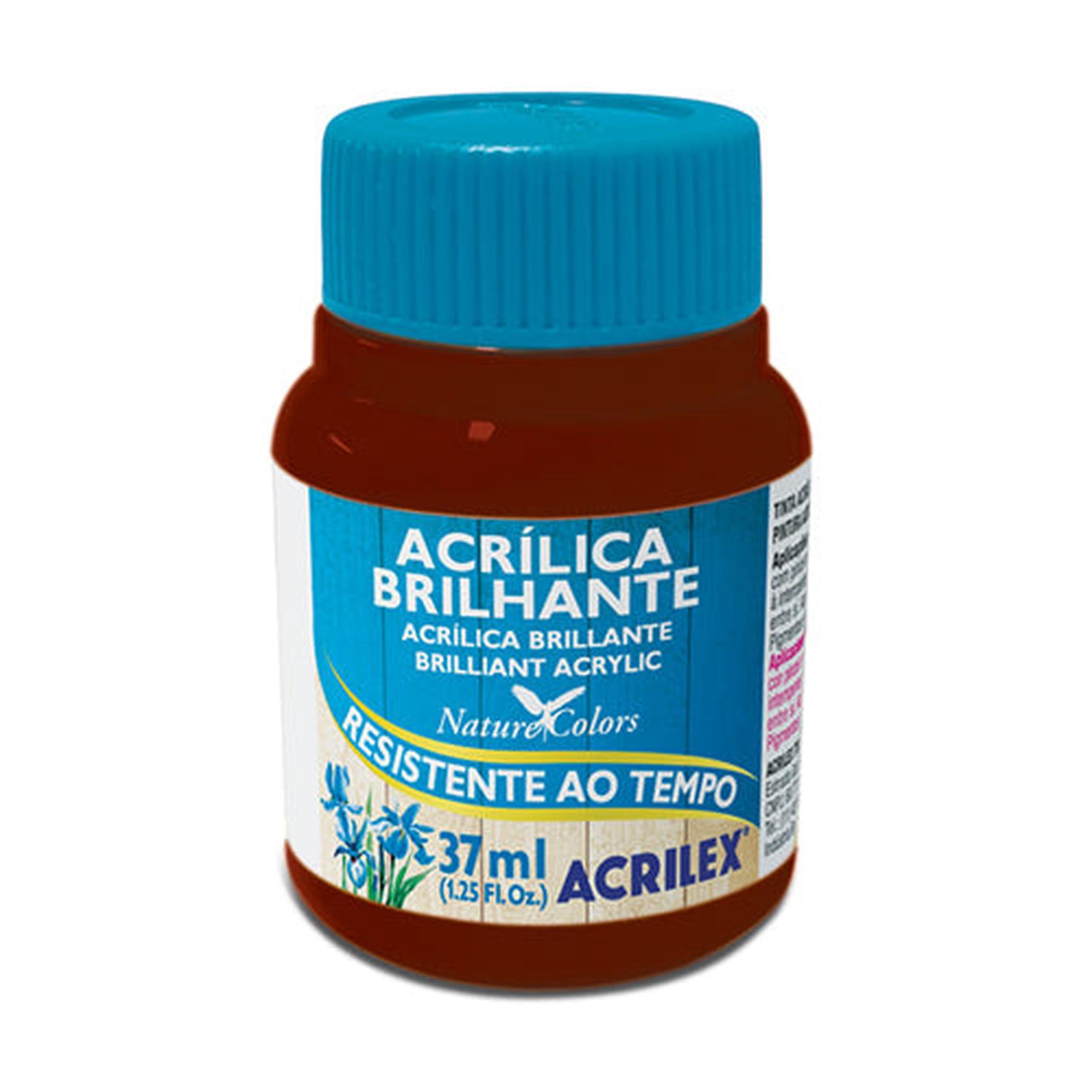 PINTURA ACRILICA BRILLANTE 37 ML - 5