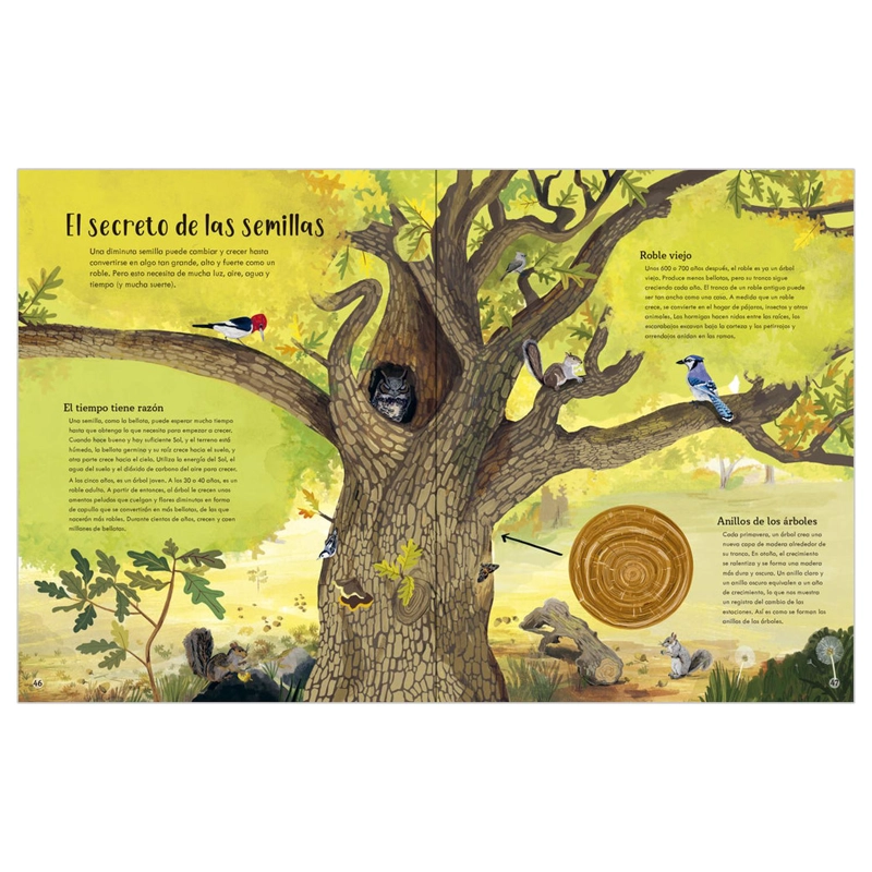 LIBRO TODAS LAS COSAS CAMBIAN - MUNDICROM - 2
