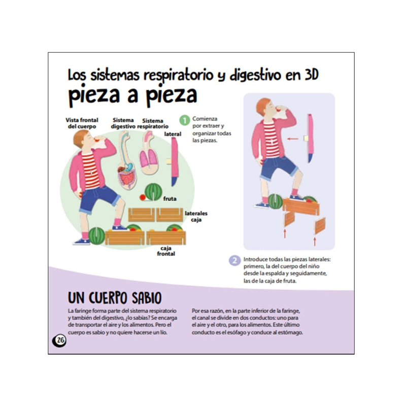 CUERPO HUMANO... KIT DE CONSTRUCCION + LIBRO - 3
