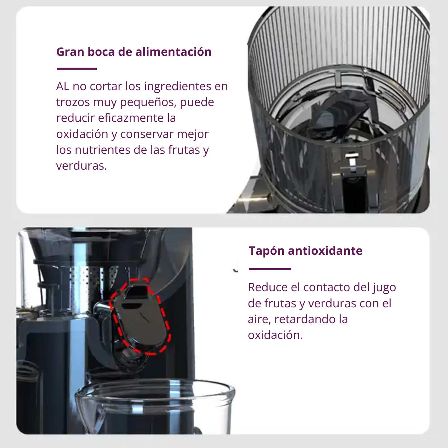 EXTRACTOR DE JUGO PRENSADO EN FRÍO / SLOW JUICER KALTER SJ-026 - 9